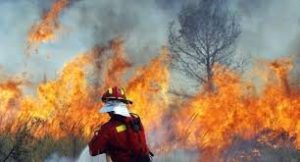 Екипи потушили 9 пожара през изминалото денонощие във видинско