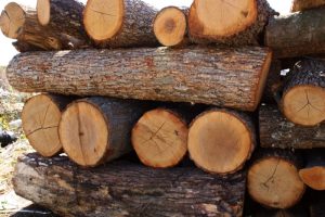 Иззеха незаконни дърва от частен дом в Кулско
