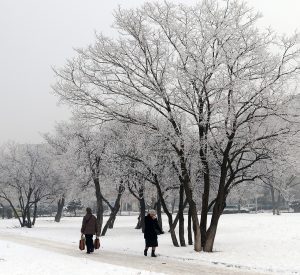 Жълт код за студено време с отрицателни дневни температури за Видин и още 16 области за утре