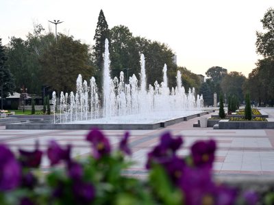 Започва третирането на обществените площи срещу кърлежи и комари